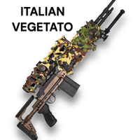 Rail System Overwrap Camo (R.S.O.C.)
